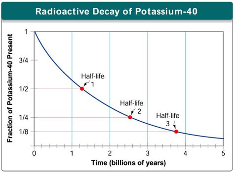 While an organism is alive, it takes in isotopes. Biology 1 > Lauer > Flashcards > The History of Life ...