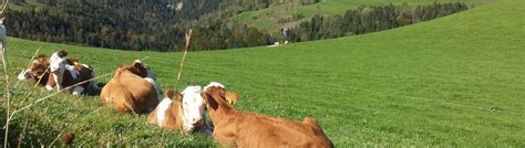 We did not find results for: Printline Jahresplaner 2021 Schulferien Bayern - Printline ...