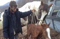 farmers raped sick trio goats ordered teenage