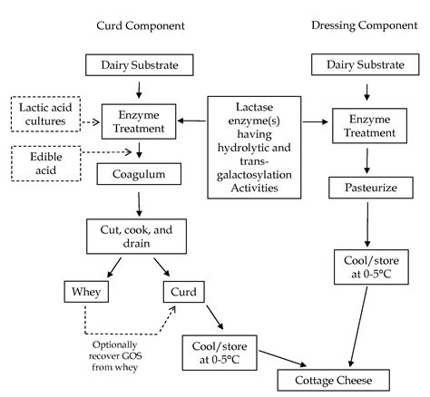 Example of an overall dairy farm production process. Patent US20090297660 - Cheese Products Containing Galacto-Oligosaccharides And Having Reduced ...