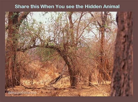 Pieces can be rotated or flipped, but you may not overlap the pieces. Picture Riddle: Find the Hidden Animal | BhaviniOnline.com