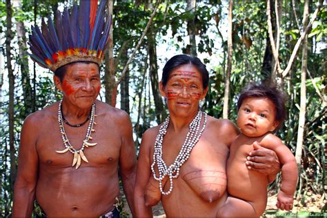 La región amazónica de colombia (rac) incluye no solo el departamento de amazonas sino también los departamentos de vichada, guainía. El Amazonas de Brasil: Viviendo una aventura en el Parque ...