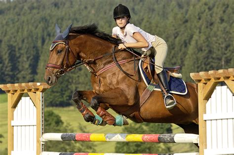 Encontre fotografias de stock de alta qualidade que não encontrará em nenhum outro lugar. Papeis de parede Desporto equestre Cavalo Salto Desporto ...