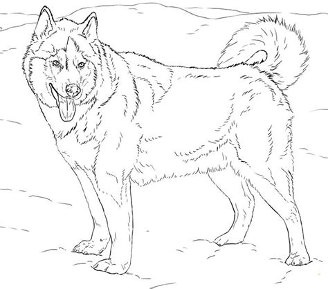 You are viewing some husky face sketch templates click on a template to sketch over it and color it in and share with your family and friends. Husky Dog Coloring Pages - Blogx.info - Blogx.info