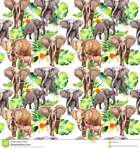 Conditioning an animal before sample collection Exotic Elephant Wild Animal Pattern In A Watercolor Style. Stock Illustration - Illustration of ...