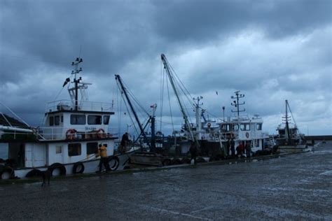 Sinop´un karadeniz sahilinden en büyük farklılığı, güneye bakan bir sahili olması. Sinop'ta deniz mayını bulundu - Güncel Haberler ...