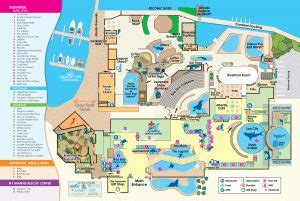 Stop by and say hi to the adorable sea otters, or come see the mesmerizing jellyfish. Facility Map