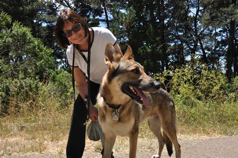 Maybe you would like to learn more about one of these? Sibley Regional Preserve: A walk on Oakland's wild and ...