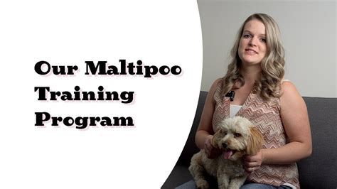 Hand picked by an independent editorial team and updated for 2021. Maltipoo Puppy Obedience Training Program Introduction ...