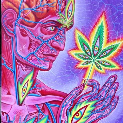 Maybe you would like to learn more about one of these? Cannabis, a Gateway to Love as Seen by Artist Alex Grey