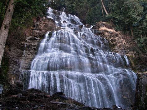 They're all down right now. 23 Reasons Why You Should Visit British Columbia Right Now