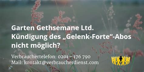 A garden of ancient olive trees stands there to this day. Garten Gethsemane Ltd. | Kündigung des „Gelenk-Forte"-Abos ...