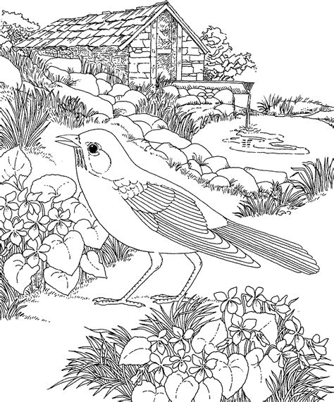 Printable flower coloring pages.these printable flower coloring pages are free. Free Printable Coloring Page...Wisconsin State Bird and ...