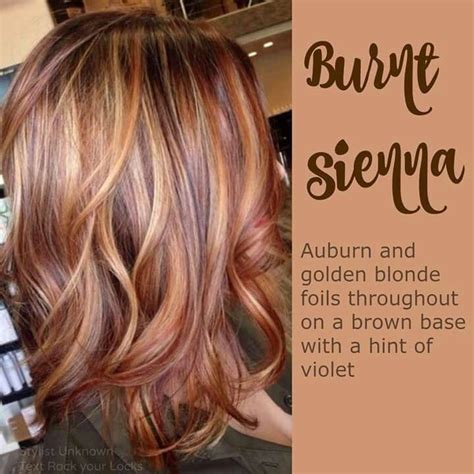 Html, css or hex color code for burnt sienna is #e97451. Burnt Sierra Hair Colors Hair Hair Color Auburn And ...