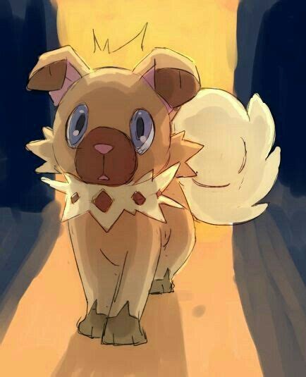 Rockruff has an excellent sense of smell. Pin on Gotta catch them all!