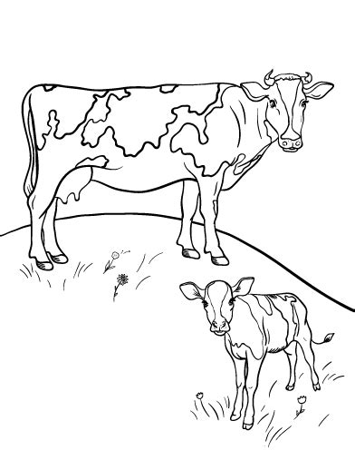 They're great for all ages. Free Cow Coloring Page