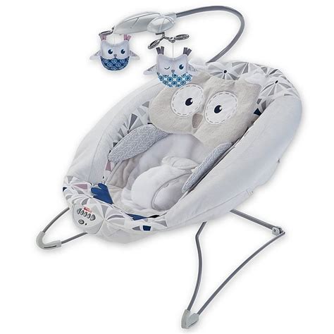 See our top picks for the best baby bathtubs and inserts. Fisher-Price® Deluxe Bouncer in Owl Love | Bed Bath ...