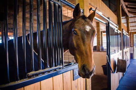 Check spelling or type a new query. Gavilan Farm - Will Faudree Eventing