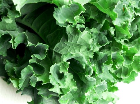 Look for unwilted leaves that are green in color, with no brown or yellow. Kale, A Kool Cruciferous Vegetable | Nettie Cronish