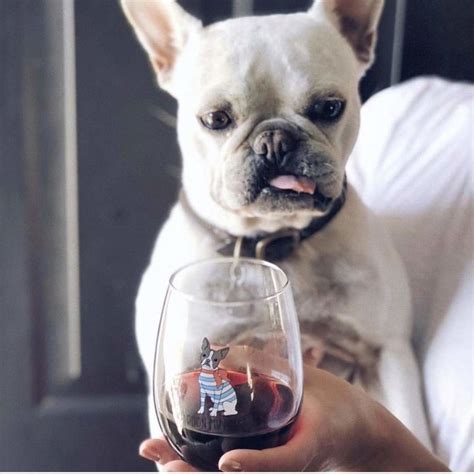 57 Of The Best Gifts Under $20 To Give In 2019
