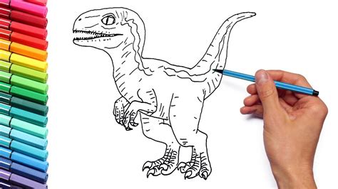 Coloring pages for kids and adults, play free coloring pages for kids and adults. Drawing and Coloring Baby Raptor Blue From Jurassic World ...