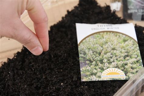It's a relatively inexpensive way to grow a wide variety of plants. Why Do Gardeners Start Seeds Indoors? • a traditional life