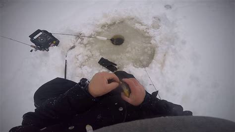 Other great spots for pike fishing in michigan include January 18, 2020 ice fishing for bluegills in west Branch ...