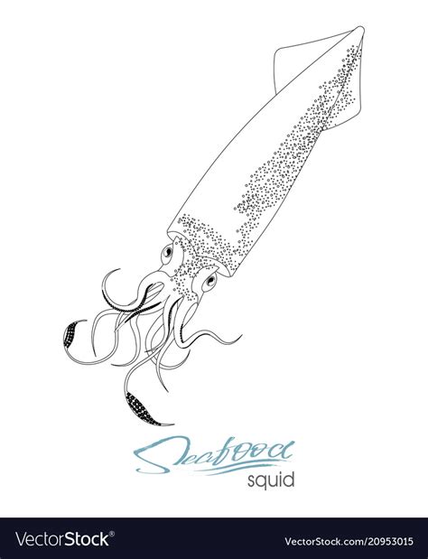 Probably because they've been so elusive. How To Draw Squid Tentacles