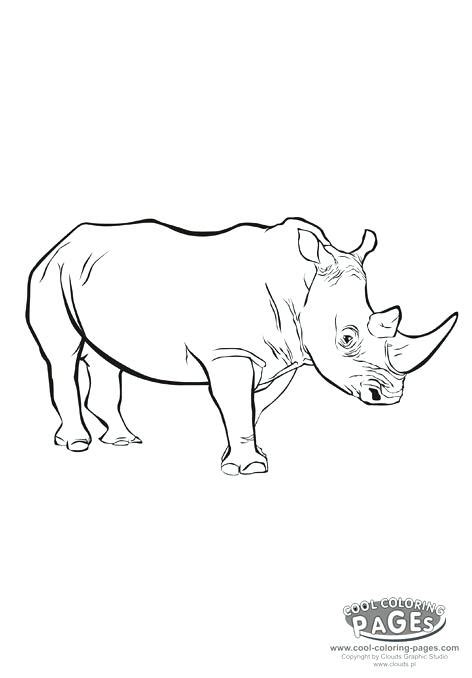 Learn all about rhino both on screen and in comics! Rhino Coloring Page at GetColorings.com | Free printable ...