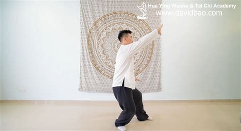 Four balls are involved in combo, plus whisker of a carom off the 8 before final two balls are struck by the 2 ball. Tai Chi 8 Form Instructional Video 5 (White Crane Spread ...