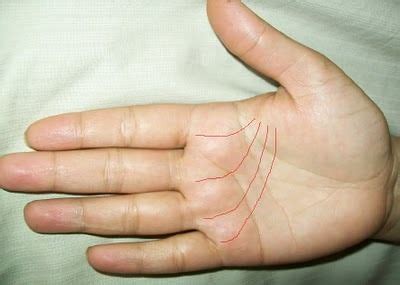 There are four main lines used in palmistry, and they are the some of the lines associated with money start at the base of the thumb, in the meatier part of the palm, and. Four kinds of money line | Palmistry, Palm reading