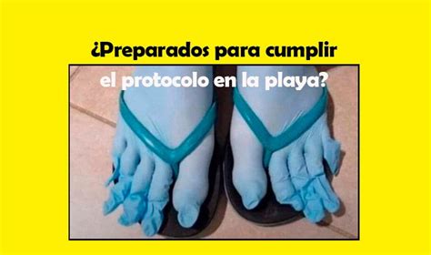 Your daily dose of fun! Verano 2021 en cuarentena: Memes le agregan una dosis de ...