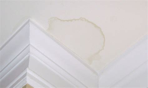 These watermarks are usually quite telling. What is Causing Those Water Stains on Your Ceiling?