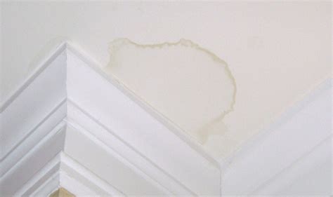 Maybe you would like to learn more about one of these? What is Causing Those Water Stains on Your Ceiling?