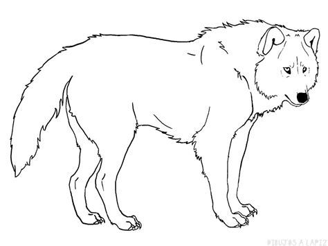 Imágenes y dibujos para niños de lobos online, pintar y colorear. ᐈ Dibujos de Lobos【TOP】Lobos para dibujar a lapiz