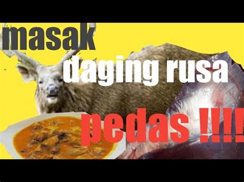 Hari ini saya ingin berkongsikan resepi rendang daging sedap giler. Masak daging rusa ala koki rumahan - YouTube