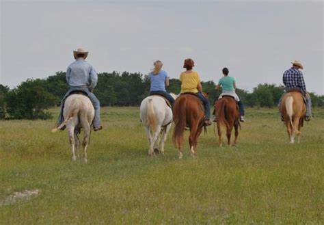 Highway 290 roughly halfway between brenham and hempstead. Texas Ranch Life | Hotels in Chappell Hill, TX 77426