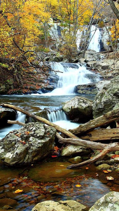 Maybe you would like to learn more about one of these? Gambar Lukisan Naturalisme Pemandangan Alam | FotoGambar™