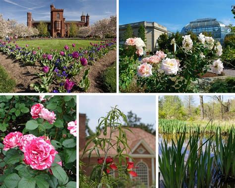 Dc gardens is a nonprofit campaign to promote public gardens and gardening in the washington, d.c. 15 Best Gardens in the Washington, DC Capital Region