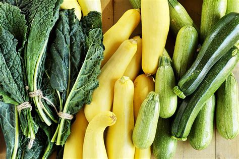 It will make a summer squash lover out of you! Growing Zucchini and Summer Squashes