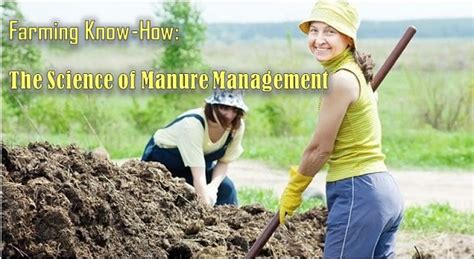 Fresh chicken manure, however, should never be added to the garden without first being composted for two to six months (depending on the method a compost tumbler is simply a container that can be rotated to mix the composting materials. Farming Know-How: The Science Of Manure Management ...