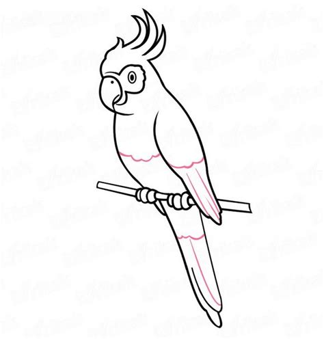 √ 4441+ Sketsa Burung | Nuri, Merpati, Garuda, Elang, Mudah (Lengkap)