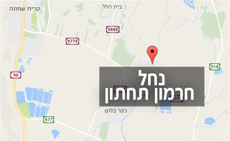 כל הידיעות והפרשנויות במגוון תחומים: N12 - מח"כים לכם בטבע: מסלולי הטיול של הנבחרים