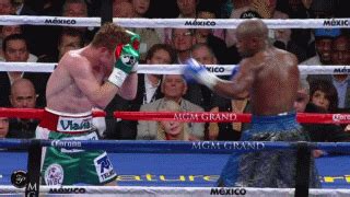 La historia entre los hermanos y mayweather es larga y más desde que aceptó la pelea de exhibición con logan, luego de negarse a enfrentar a jake en múltiples ocasiones, porque no sería un combate oficial y solo una. La pelea con mayor ganancia de la historia, Mayweather Jr ...