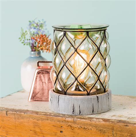 Or in individual holes dug plant bulbs in the same season they are purchased, they won't last until next year. What Scentsy Light Bulb Fits My Flameless Wax Warmer ...
