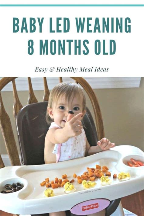 A baby bathtub can help prop up your wriggling newborn and make bath time safer and more enjoyable for everyone. Baby Led Weaning Meal Ideas: 8 Months Old | 8 month old ...