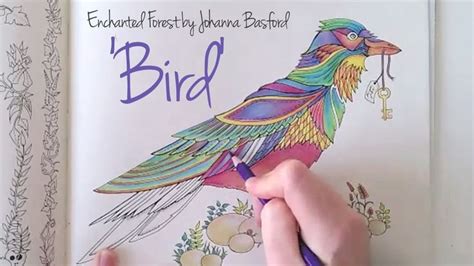 This stunning colouring book by johanna basford takes readers on an inky quest through an enchanted forest to discover what lies in the castle at its heart. Enchanted Forest - Johanna Basford; Bird | Enchanted ...