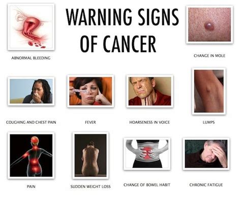 Pancreatic cancer is among the worst killers in modern medicine, for numerous different reasons. 16 Signs And Symptoms That Are Showing You May Be Dealing ...