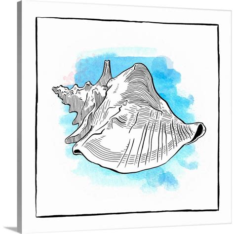 Are you looking for the best conch shell line drawing for your personal blogs, projects or designs, then clipartmag is the place just for you. Conch Shell Line Drawing at PaintingValley.com | Explore ...