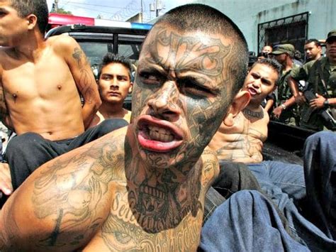 Over time, the gang grew into a more traditional criminal organization. 11 Animalistic Crimes Committed Against Americans by MS-13 ...